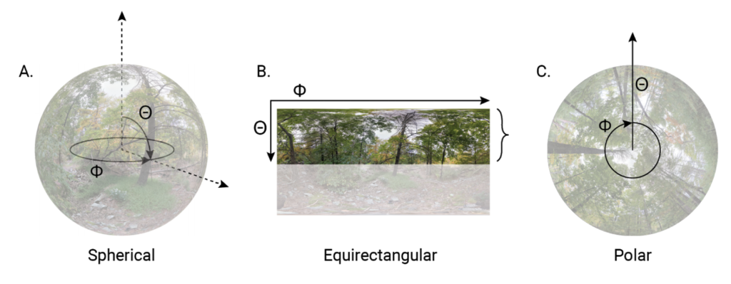 Figure 1 from Arietta (2020)