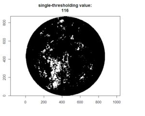Binarized circular hemispheric plot output by hemispheR's 'binarize_fisheye' function. 