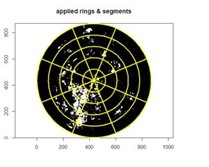 Binarized circular hemispheric plot with azimuth rings and segments output by hemispheR's 'gapfrac_fisheye' function. 